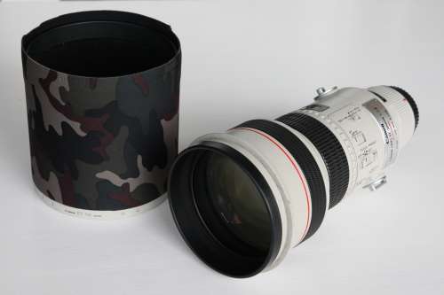Canon EF 300mm f2.8L USM  (Non IS)