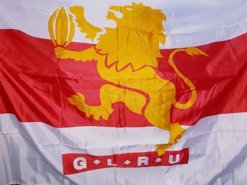 Golden Lions Rugby Union flag