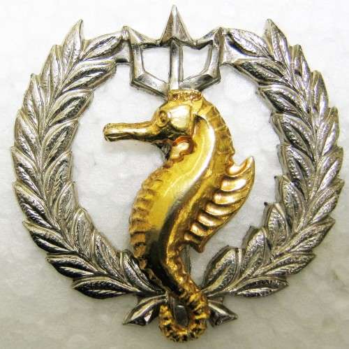 S.A. NAVY INDEPENDENT SHIPS AND AIR/SEA RESCUE FLOTILLA , BI-METAL ONE PIECE BREAST BADGE WITH PINS