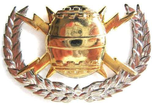 OLD S.A. NAVY LATER ISSUE MINE COUNTER MEASURES BREAST BADGE WITH GILDED MINE ON CHROME WREATH
