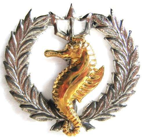 OLD S.A. NAVY LATER ISSUE INDEPENDANT SHIPS BREAST BADGE TWO PIECE GILDED SEAHORSE ON CHROME WREATH