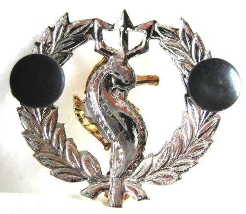 OLD S.A. NAVY LATER ISSUE INDEPENDANT SHIPS BREAST BADGE TWO PIECE GILDED SEAHORSE ON CHROME WREATH