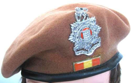 ADMINISTRATION SERVICES CORP BERET WITH BADGE AND BALKIE SIZE 52 DATED 1977/78 IN GOOD CONDITION