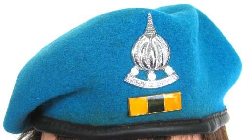 FINANCES SERVICES CORPS BERET WITH CHROMED BADGE AND BALKIE DATED 1984 SIZE  51 IN GOOD CONDITION