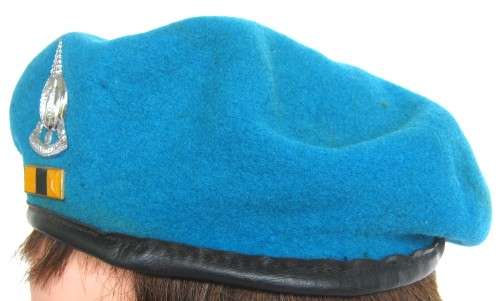 FINANCES SERVICES CORPS BERET WITH CHROMED BADGE AND BALKIE DATED 1984 SIZE  51 IN GOOD CONDITION
