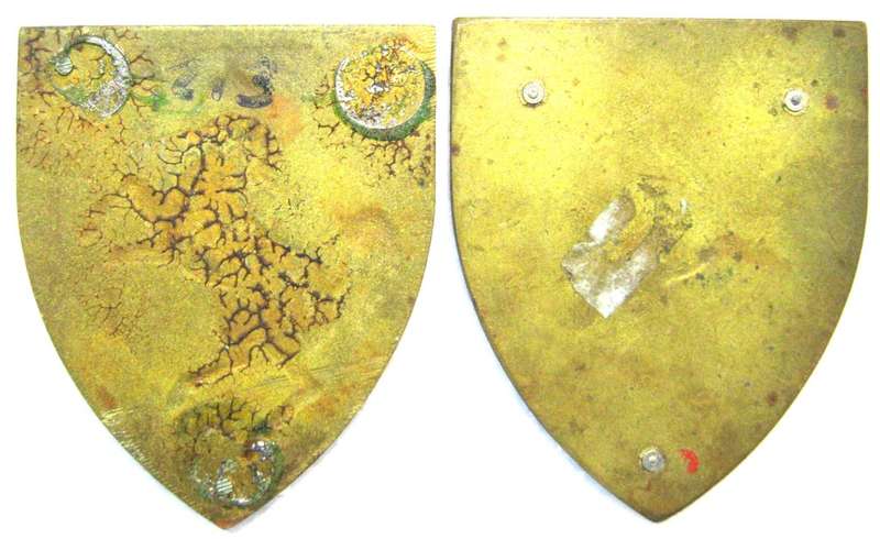 PAIR OF TECHNICAL SERVICE TRAINING CENTRE GOLD TYPE FLASHES WITH NO PINS IN FAIR CONDITION