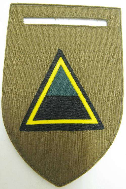 SADF INFANTRY "A" COMPANY TUPPERWARE FLASH WITH PIN AS NEW
