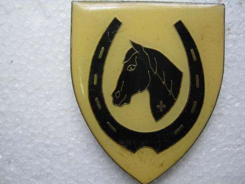 S.A.D.F. EQUESTRIAN CENTRE FLASH WITH PINS AND CAPS