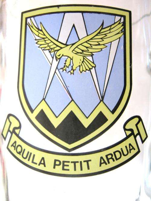 S.A.A.F 15 SQUADRON (DURBAN) BEER MUG - Good condition