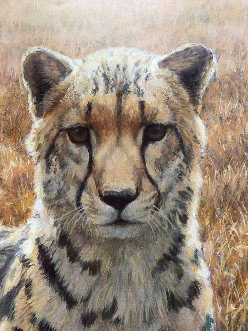 Robert Bateman calendar print titled `King Cheetah`