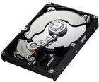 SAMSUNG 250GIG HDD!!! ****CRAZY SALE****FREE SHIPPING****