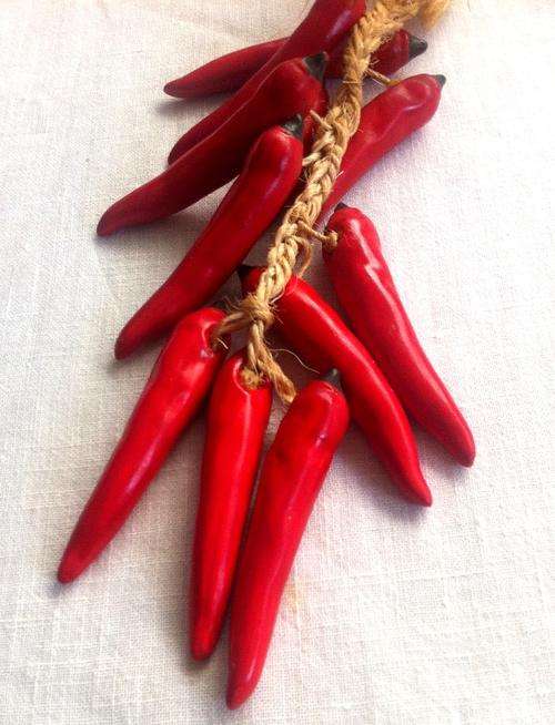 Country bunch of Chillies
