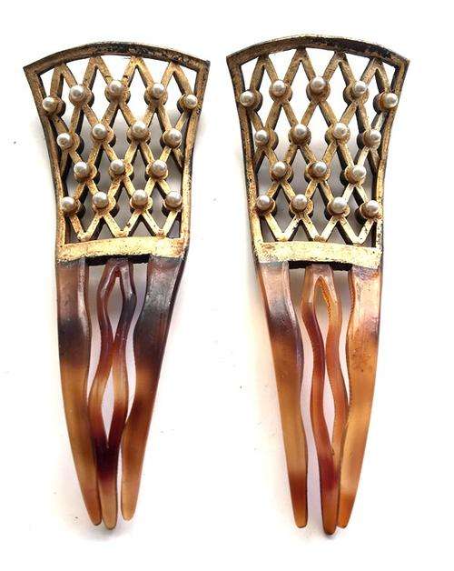 Pair of Antique Hair Slides