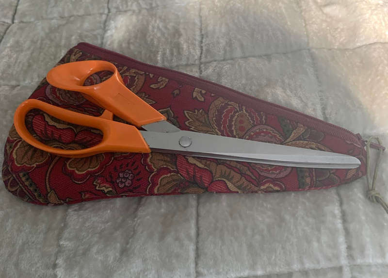 Scissors case