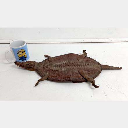 GENUINE PRESERVED CROCODILE BAG