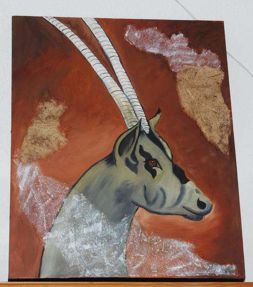 The Gemsbok