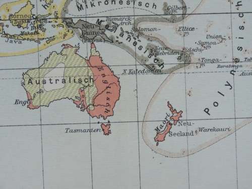 1905 Map of The World by Language Spoken, Excellent condition, Original German Mayer Map