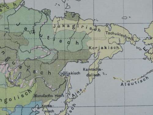 1905 Map of The World by Language Spoken, Excellent condition, Original German Mayer Map