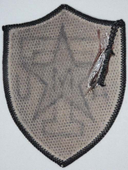 United States Military Texas AandM Corps of Cadets Insignia Patch, OD Subdued