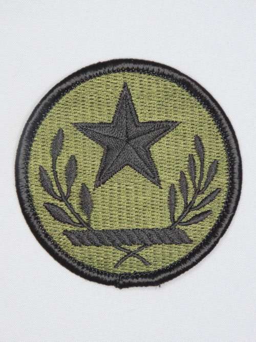 United States Army Texas National Guard Insignia Patch, OD Subdeud Patch