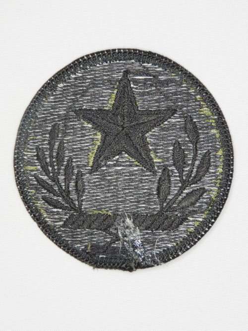 United States Army Texas National Guard Insignia Patch, OD Subdeud Patch