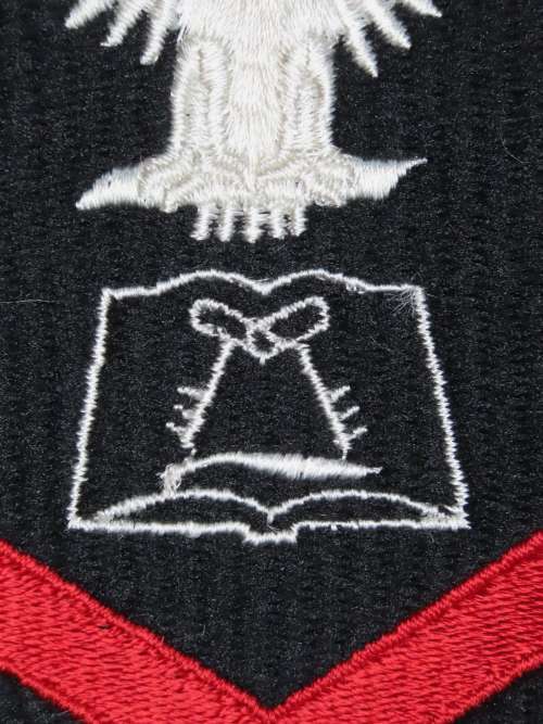 United States Navy Petty Officer 1st Class Rank Insignia Patch E6, Culinary Specialist