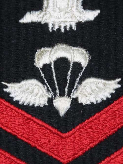 United States Navy Petty Officer 1st Class Rank Insignia Patch E6, Aircrew Survival Equipmentman