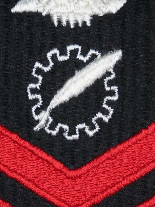 United States Navy Petty Officer 1st Class Rank Insignia Patch E6, Data Processing Technician