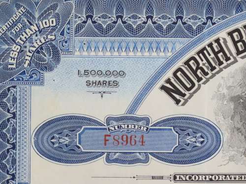 1929 North Butte Mining Company, Stock Certificate, 20 Shares , F8964