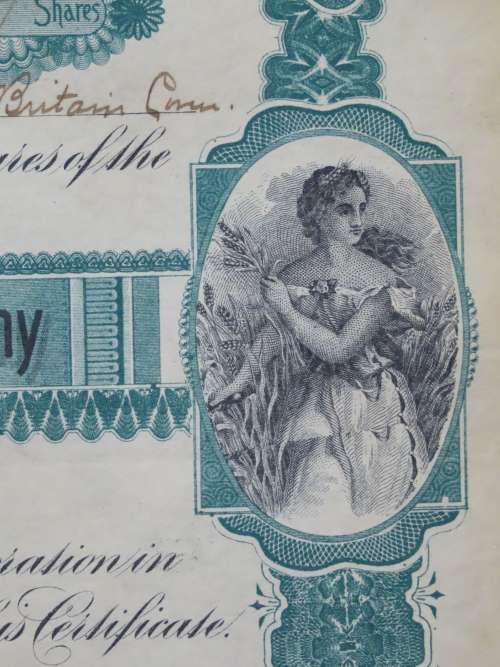 1901 Plume And Atwood Manufacturing Company, Stock Certificate, 317 Shares , 207