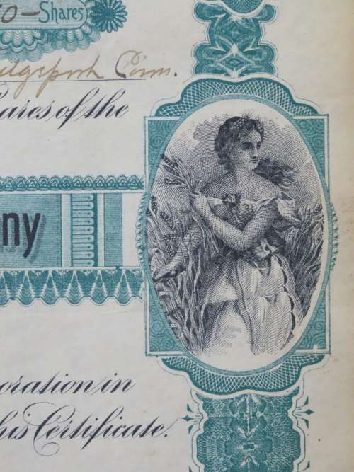 1901 Plume And Atwood Manufacturing Company, Stock Certificate, 250 Shares , 204