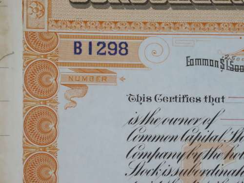 1924 Consolidated Water Company , Stock Certificate, 200 Shares, B1298