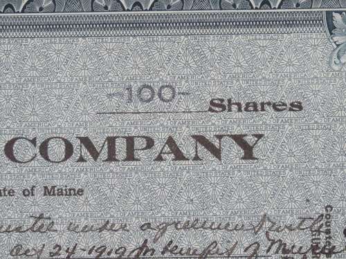 1919 Magma Copper Company, Stock Certificate, 100 Shares, 15865