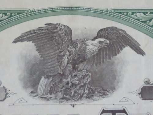 1920 National Tea Company, Stock Certificate, 5 Shares, 802
