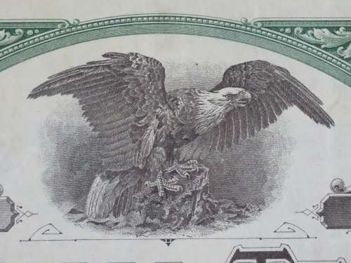 1920 National Tea Company, Stock Certificate, 5 Shares, 802