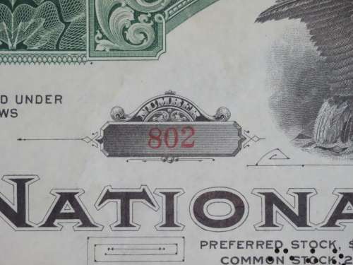 1920 National Tea Company, Stock Certificate, 5 Shares, 802