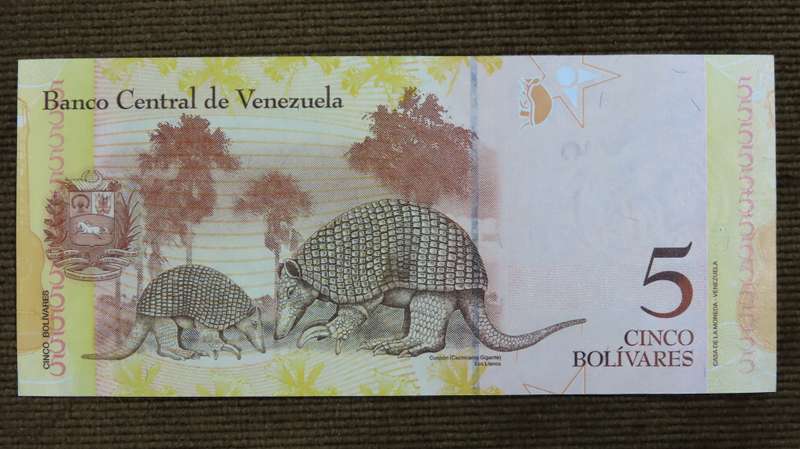 Venezuela 5 Bolivares 2011 Crisp UNC  p89