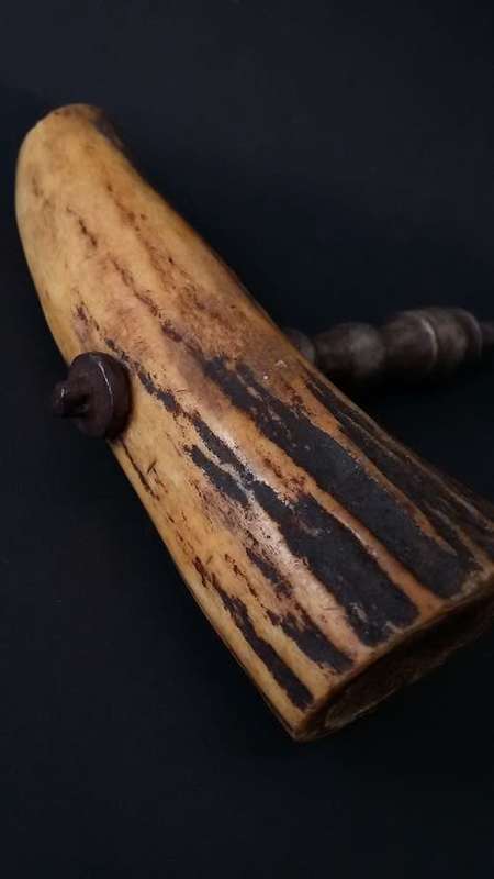 Stunning bone handled cork screw