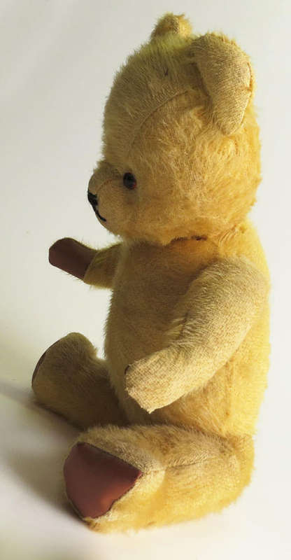 Teddy Bear