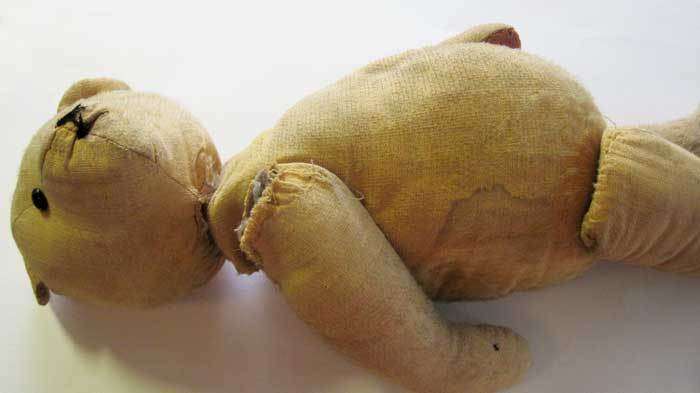 Teddy Bear