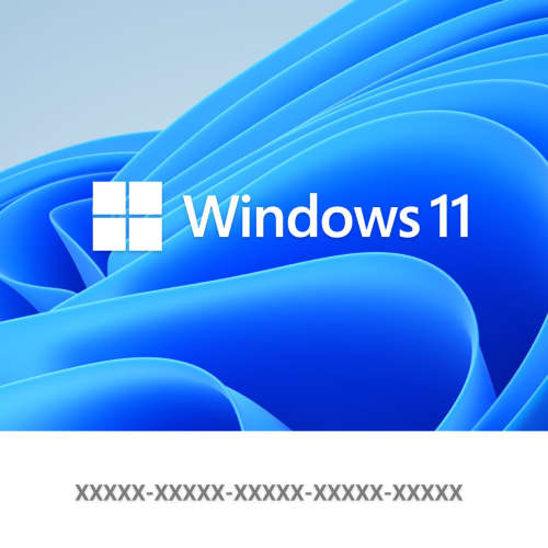 Windows 11 Pro.
