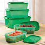 10 Piece Stay Fresh Green Containers!! **As Seen On TV!!**