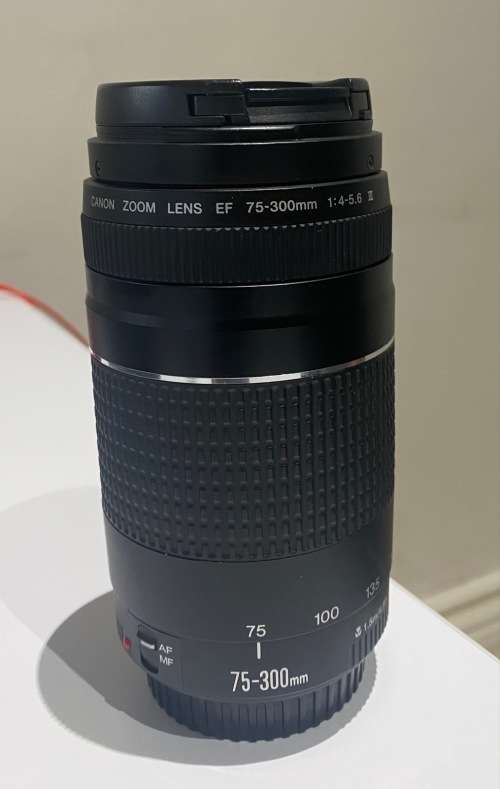 ***Stunning Canon Zoom EF 75-300mm 1:4-5.6 III Lens