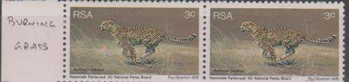 RSA, AWESOME VARIETIES TO BE NOTED, GREEN DOT, BURNING GRASS, SEE SCANS, MINT**