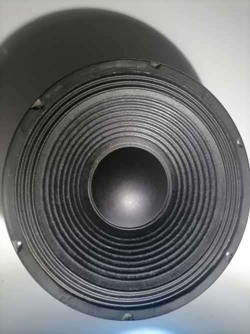 Hybrid 12 inch loose woofer
