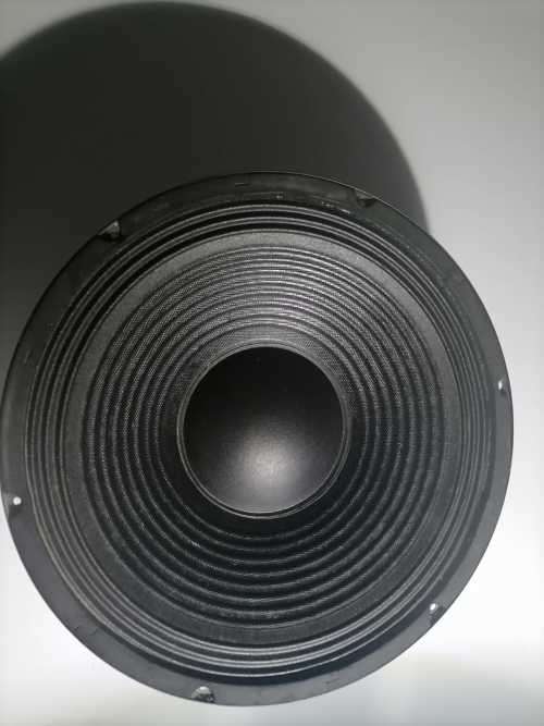 Hybrid 12 inch loose woofer