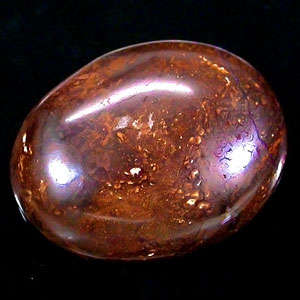 48.32 cts 100% Natural SOLID BOULDER FOSSIL OPAL freeform (Australia)
