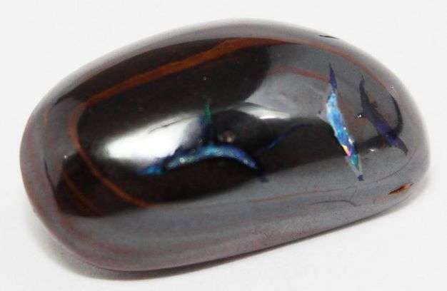 100% Natural 12.59 cts SOLID BOULDER FOSSIL OPAL freeform (Australia)