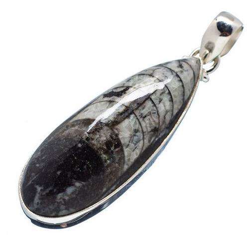 Sterling silver pendant - ORTHOCEROS (FOSSIL) - Dreams Collection