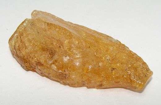 Natural AMBER with PLANT and / or INSECT inclusions
